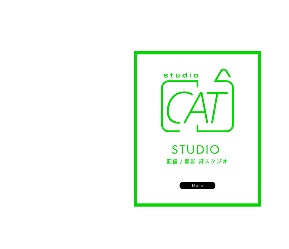 cat,cat entertinment,studio,スタジオ,キャットエンターテイメント,キャット,